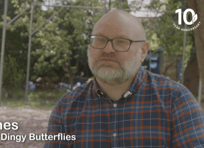 Dingy Butterflies